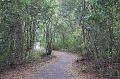 561. gumbo limbo trail